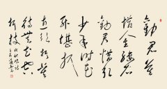花开堪折直须折，莫待无花空折枝(16平尺）