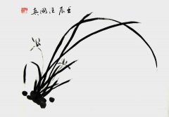 兰花